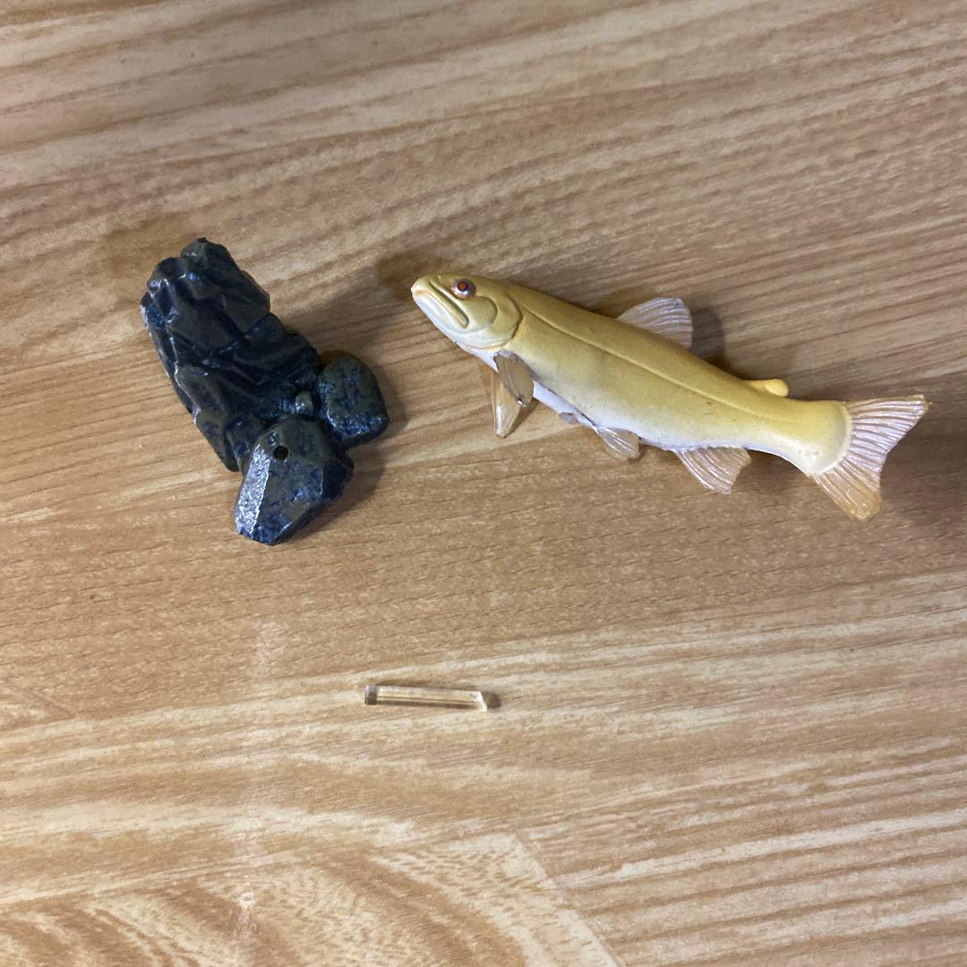 中古】YUJIN 原色淡水魚図鑑 イワナ ウナギ 大正三色 - メルカリ