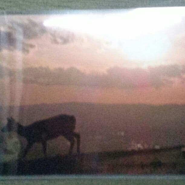 日本風景8 Nikon（ニコン） Z 8 実写レビュー by 別所隆弘さん｜2.写真と動画の