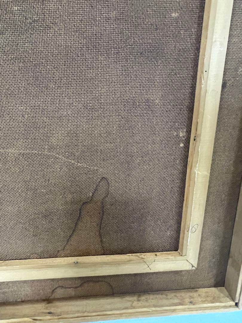 ハ2415 【中古品】裏シミ有り 表縁汚れ有り ブラジルの青いモルフォ蝶