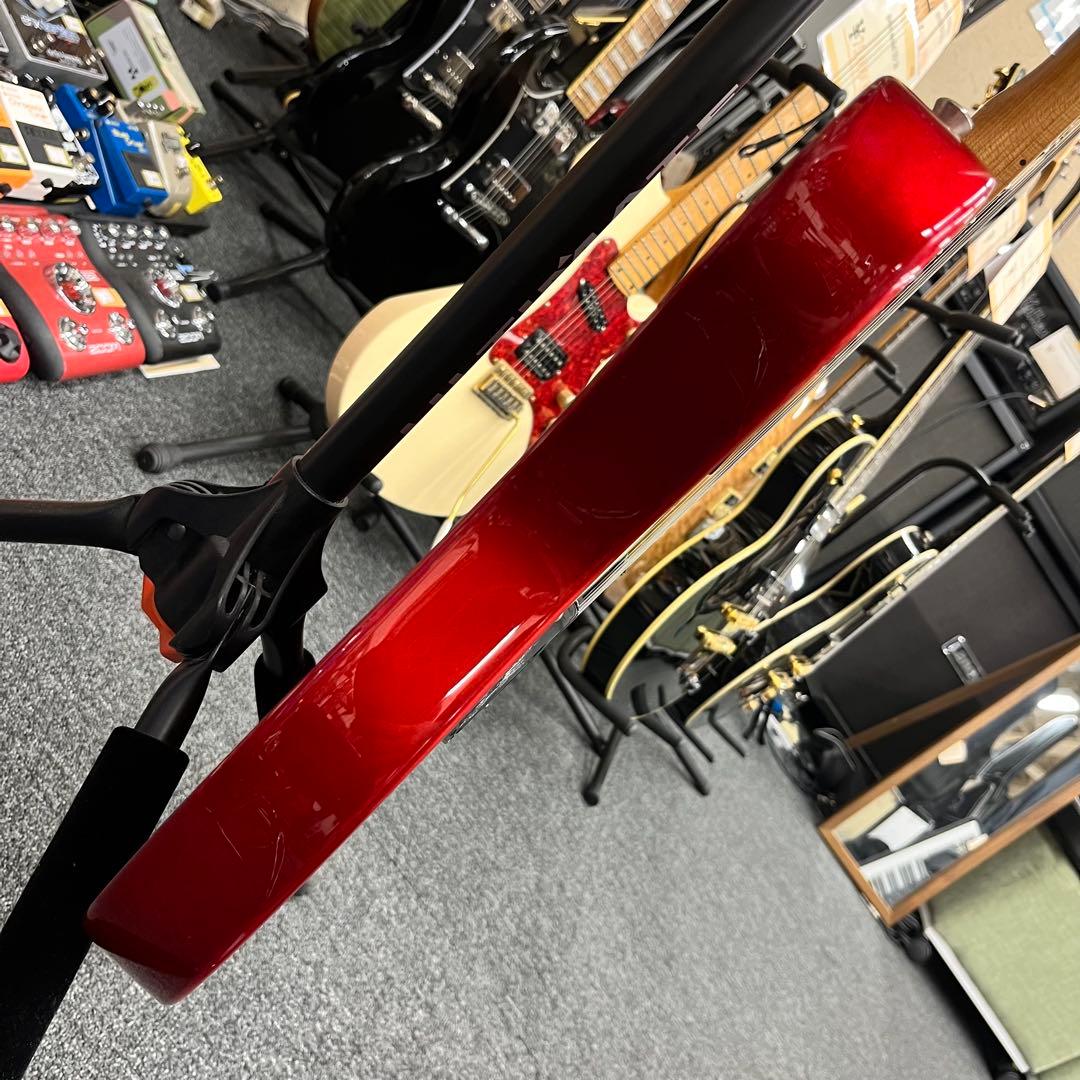 ソフトケース追加、直接引き取り11294】Bacchus BTE-2-RSM