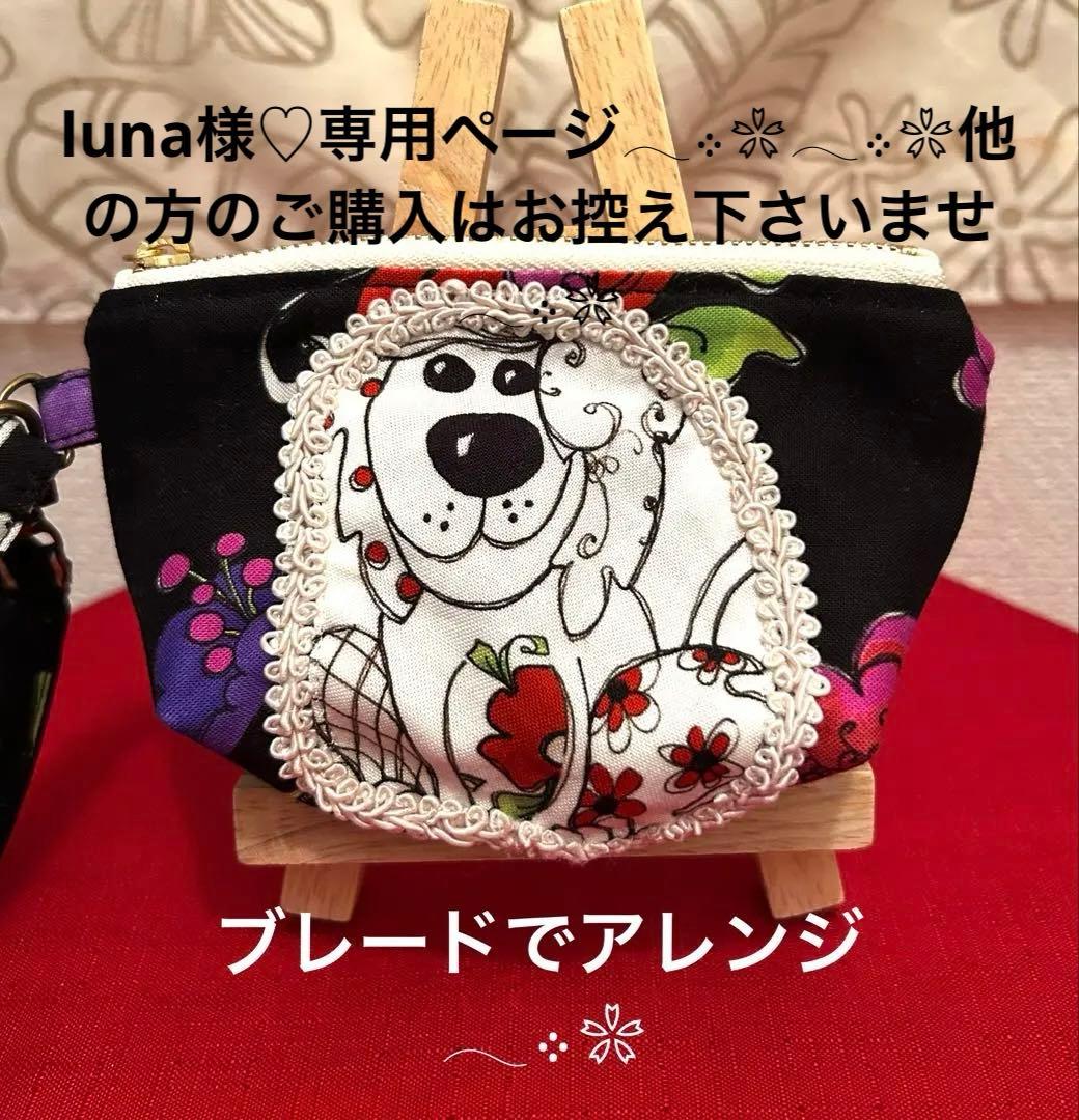 «852»★専用★ロラライハリス*ミニポーチ*キーケース*ケース 8522-009_F1.jpg