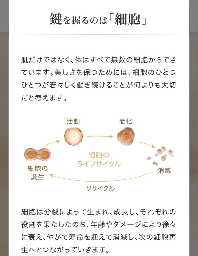 売約済み専用【新品未開封】ロンジェビティ アイクリーム& クリーム 2