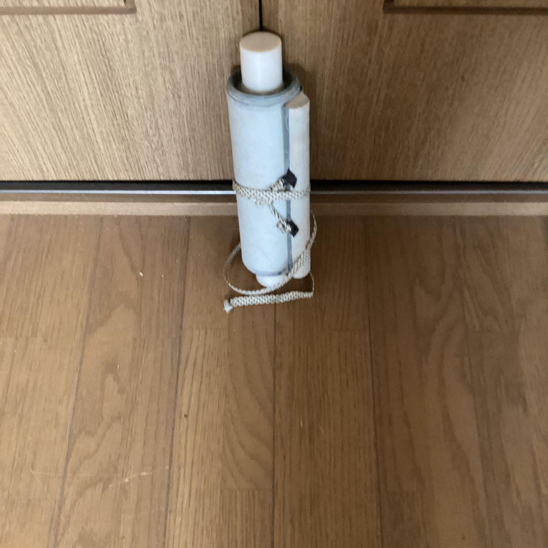 今井景樹 絹本彩色画 花鳥図【 三日月に鴫之図】 茶掛軸 タトウ箱