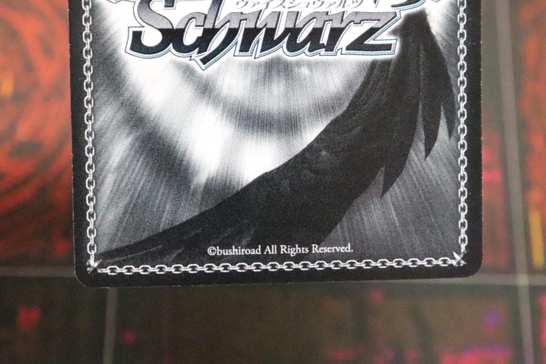 ふわもこ夢心地 望月杏奈 SSP サイン 44-MY0921-12C