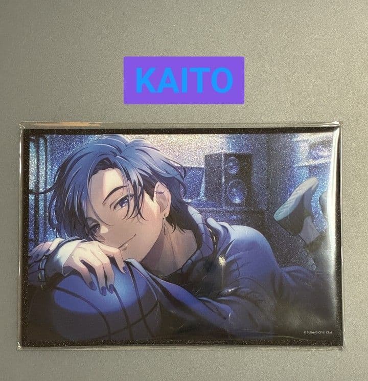 プロセカ はぴこれ KAITO アクリル色紙 - メルカリ