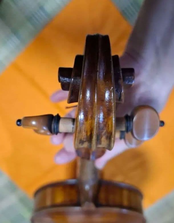 エンリスク チェルティー 裏板のみ制作)のバイオリン