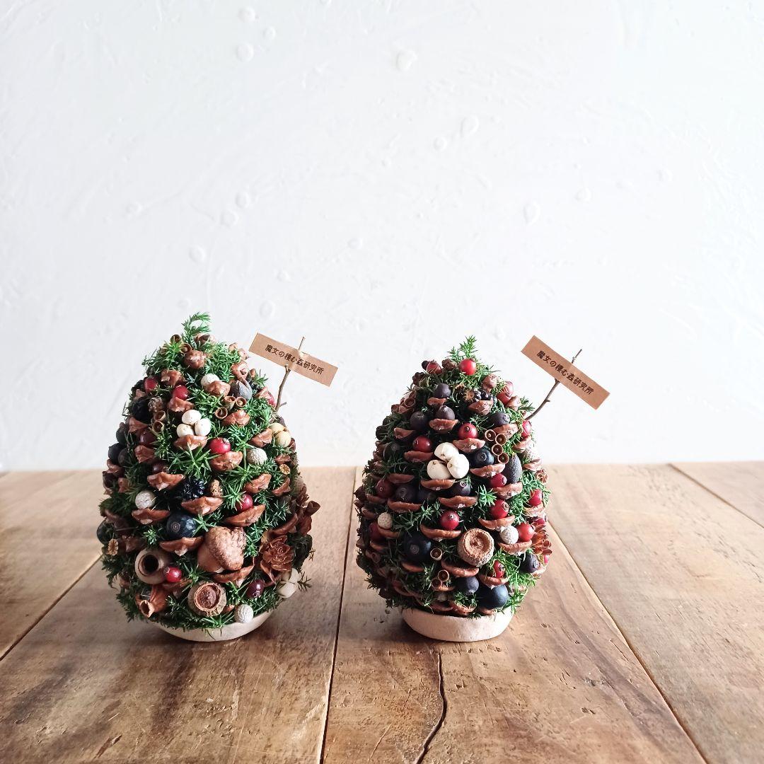 新品 未使用 ドライフラワー ツリー 木の実 松ぼっくり Mサイズ 特集掲載】ほっこり松ぼっくりのクリスマスツリー ドライフラワー 花と