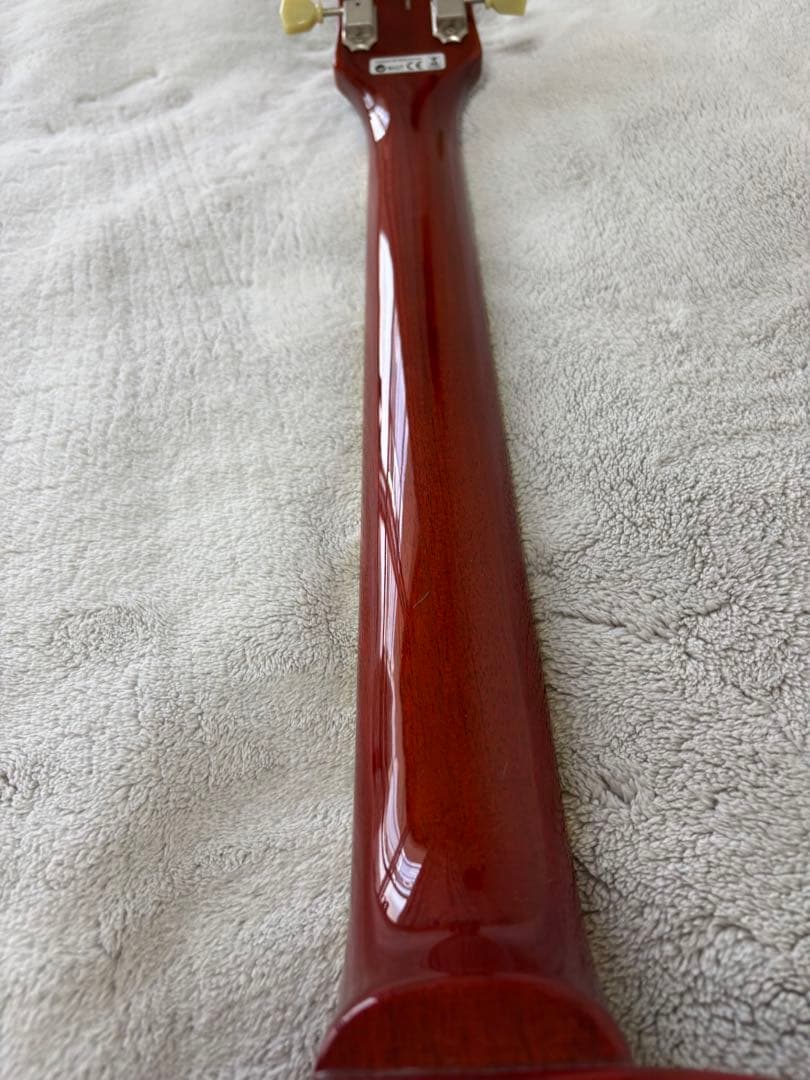 サーモンキング様専用 フジゲン ネオクラシック ギブソンピックアップ