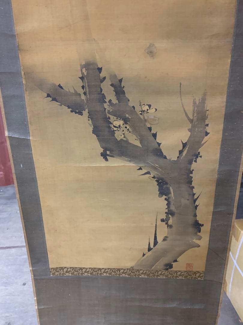 X6346』沢梅隝 水墨梅画讃 絹本 澤三石 安永元年生まれ 掛軸 - メルカリ