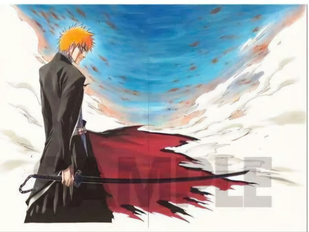 『BLEACH』額装高精細複製原画 No.5 <BLEACH EX.> 感想】BLEACHの高精細複製原画がとにかくヤバかった話【BLEACH/BLEACH
