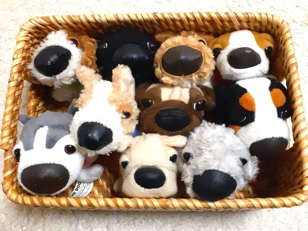 ザドッグ the dog ぬいぐるみ 10体 ハッピーセット - メルカリ