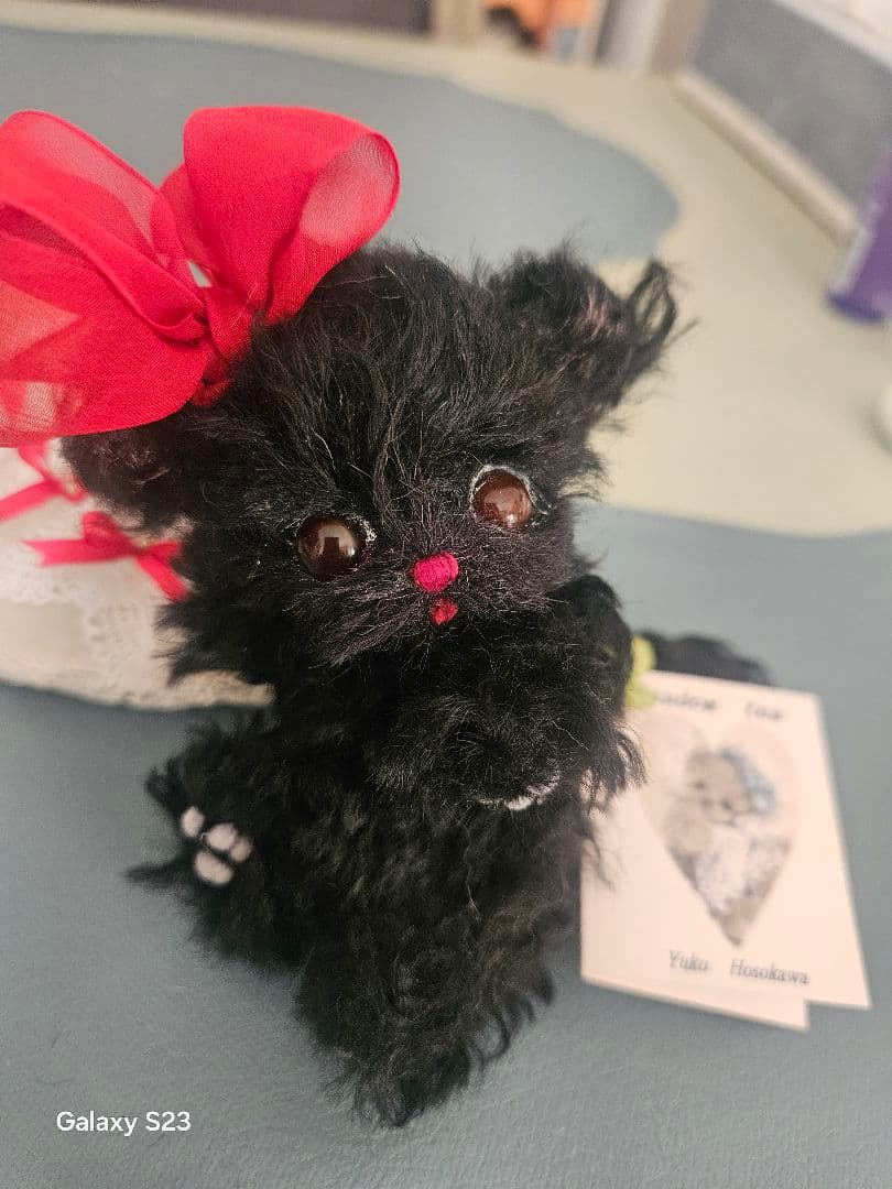 細川さん作品、タイタニックの猫 細川さん作品、タイタニックの猫 ミリキタニの猫』の紹介｜作品紹介